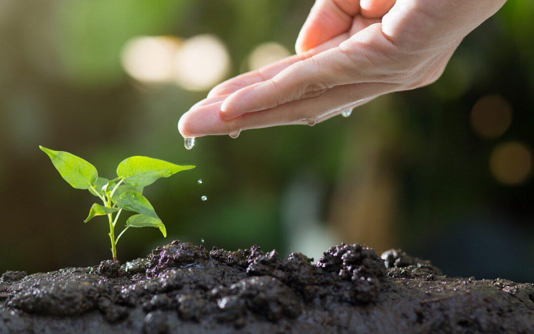 The challenges of water management