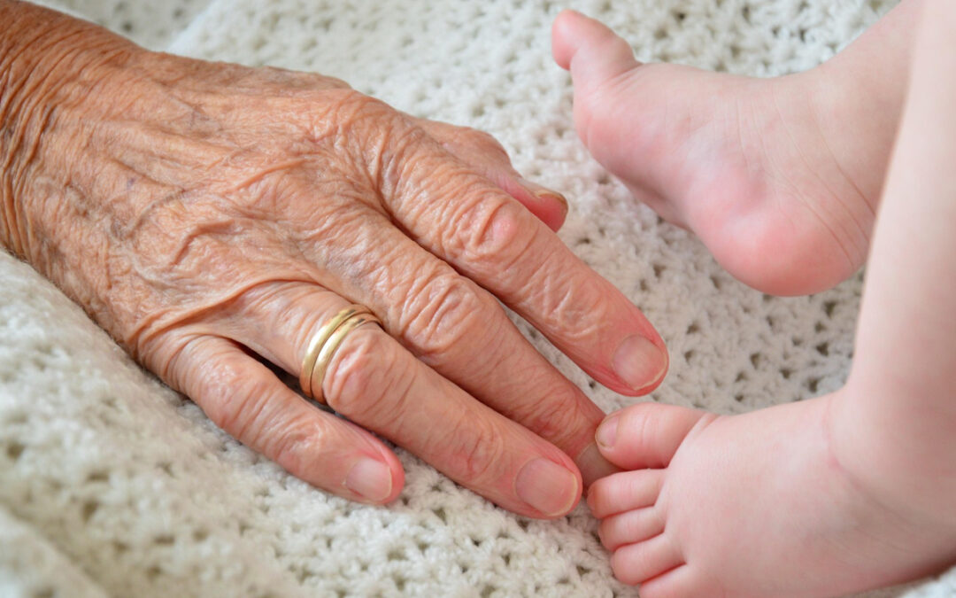 Having children as a profitable investment