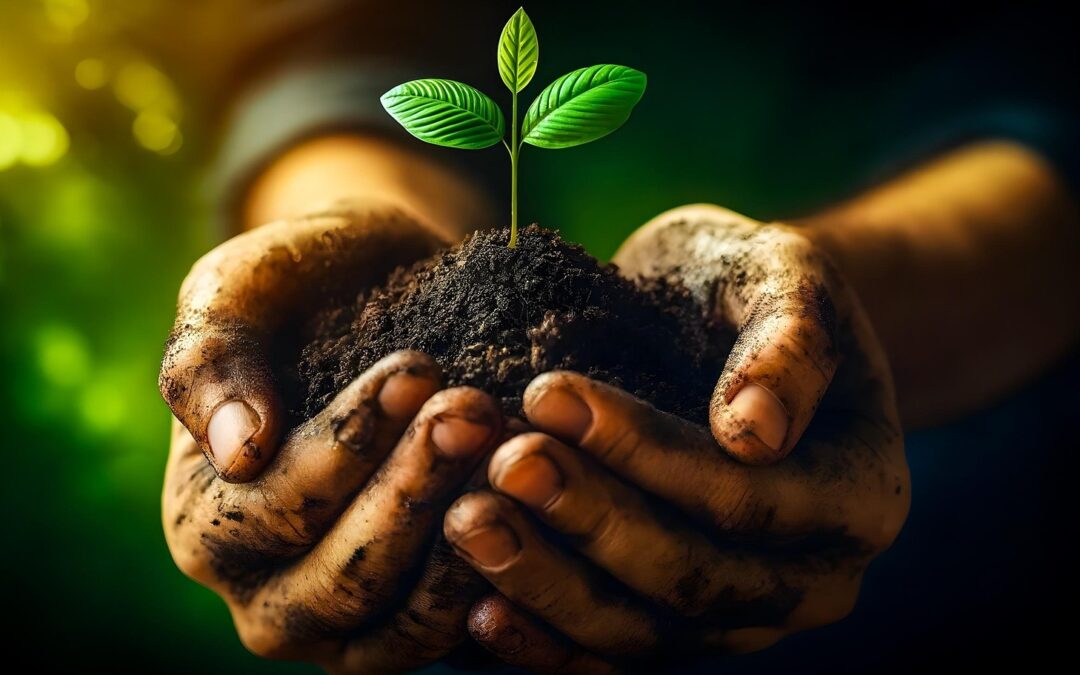 Felzárkózó települések és a munkaerőpiac