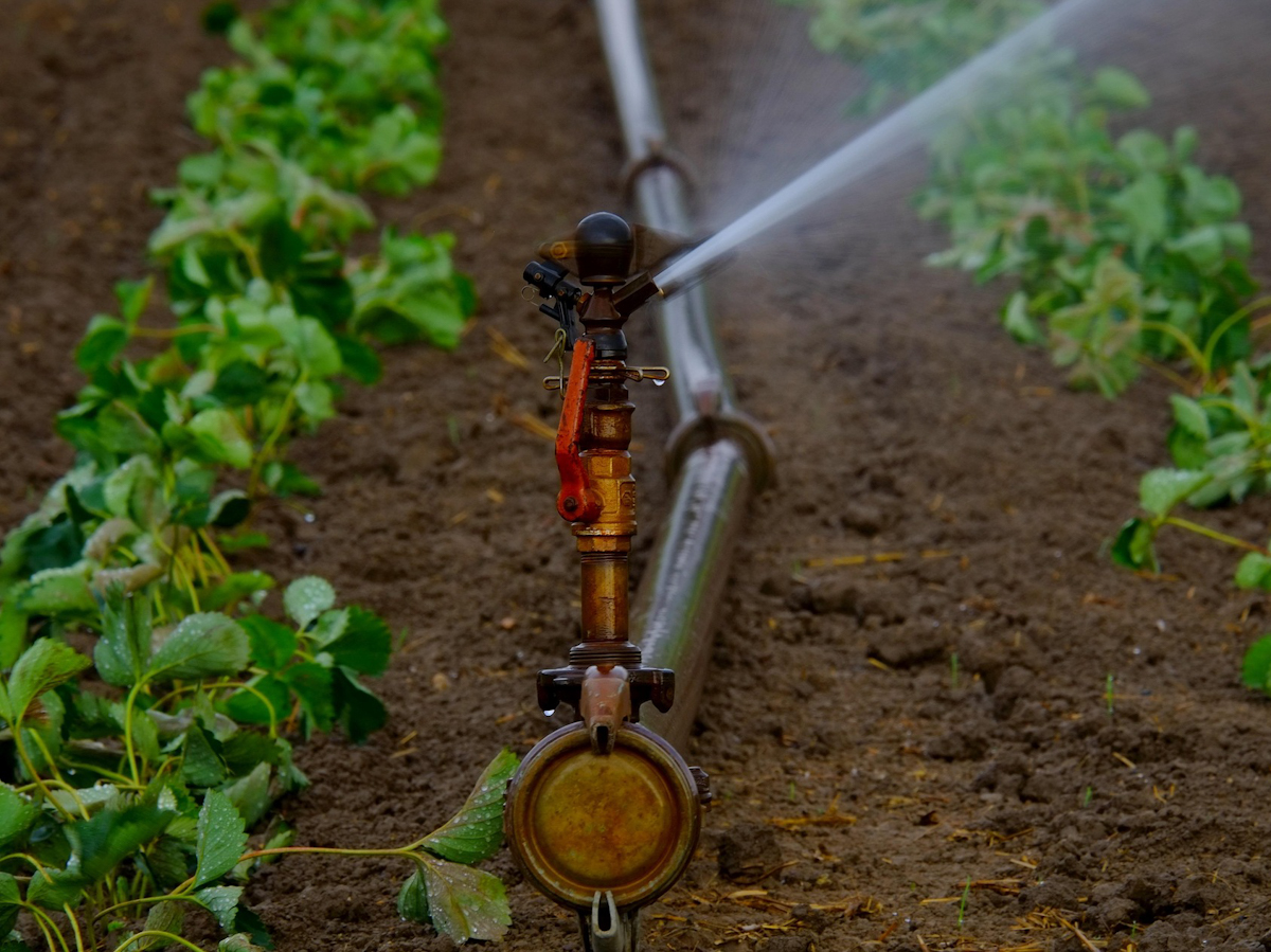 water-sprinkler-880970_honlap